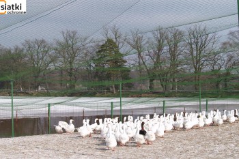 Siatki Busko-Zdrój - Siatki do hodowli ptaków i zwierząt dla terenów Busko-Zdrój